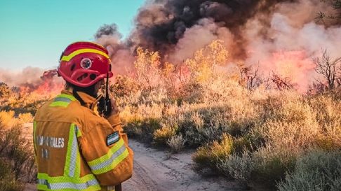 Los incendios en zonas no autorizadas contemplan multas millonarias. Los incendios en zonas no autorizadas contemplan multas millonarias.