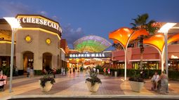 Los argentinos que robaron en Miami serán deportados este miércoles. Los argentinos que robaron en Miami serán deportados este miércoles.