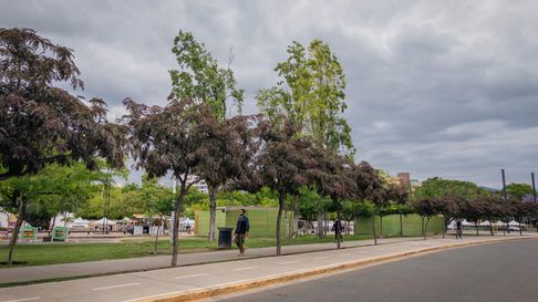 Parque Central. Ciudad de Mendoza Parque Central. Ciudad de Mendoza