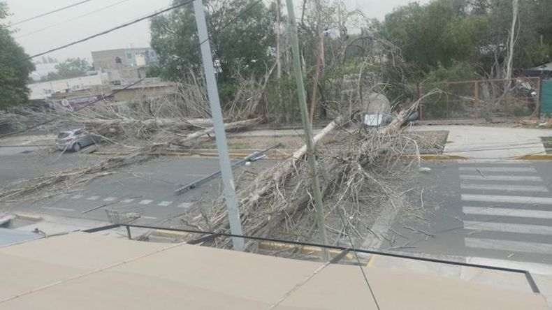 Esquina de Charcas y Juan Manuel Estrada de Guaymallén, el día 20 de noviembre luego del viento Zonda.