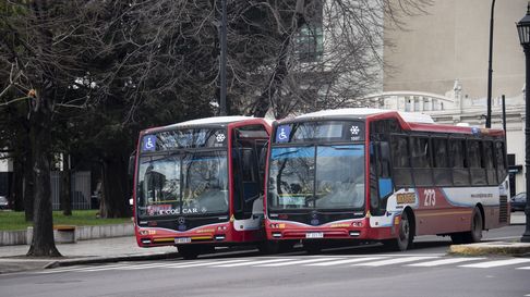 este domingo los micros seran gratuitos en la plata este domingo los micros seran gratuitos en la plata