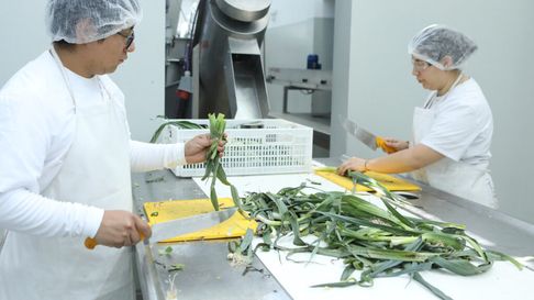 la planta de alimentos deshidratados de la unlp sera replicada en rosario la planta de alimentos deshidratados de la unlp sera replicada en rosario