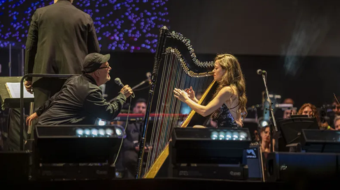 fiesta de la cosecha: noche de alto vuelo poetico junto a las pelotas en el vinedo del aeropuerto fiesta de la cosecha: noche de alto vuelo poetico junto a las pelotas en el vinedo del aeropuerto