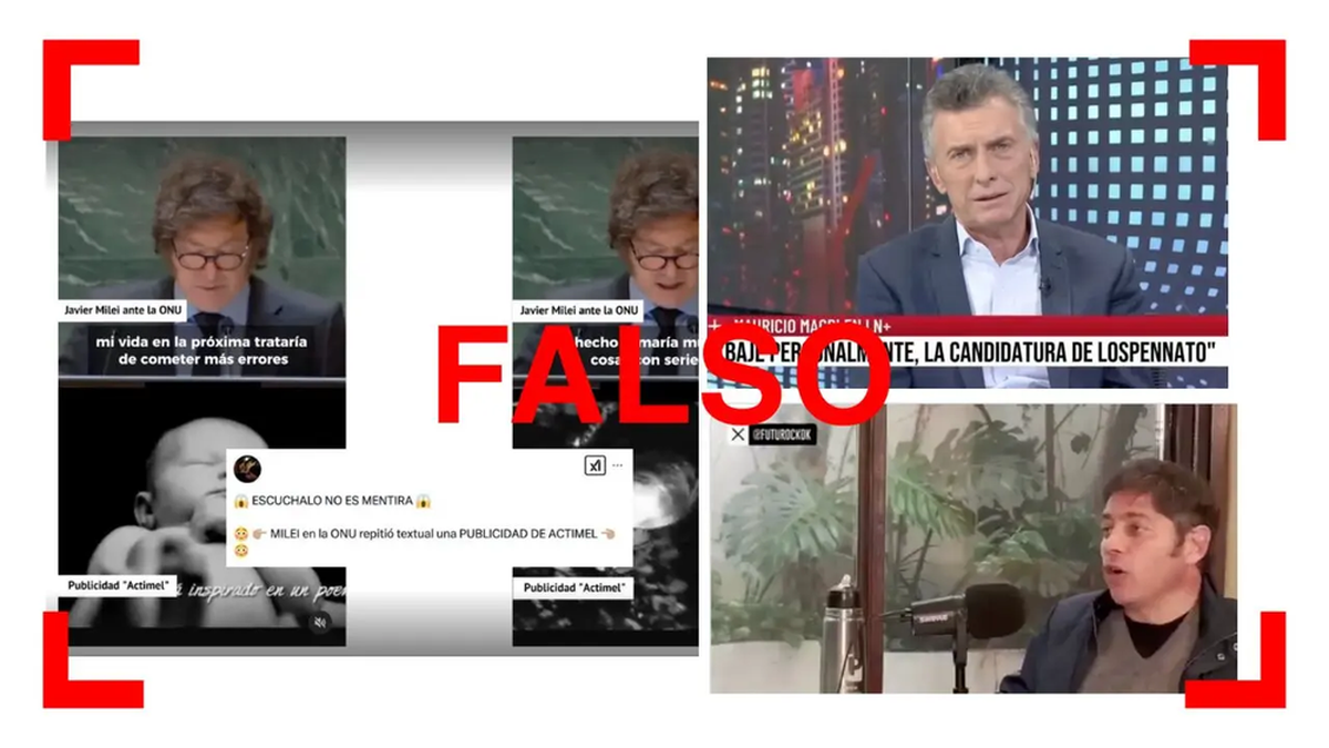 El manual de Reverso para identificar videos hechos con Inteligencia  Artificial