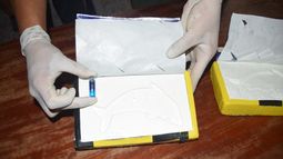 Efectivos de GNA encontraron 41 kilos de cocaína con el logo de El Delfín. Efectivos de GNA encontraron 41 kilos de cocaína con el logo de El Delfín.