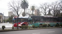 Habrá nuevos cambios en los recorridos de los micros en La Plata Habrá nuevos cambios en los recorridos de los micros en La Plata