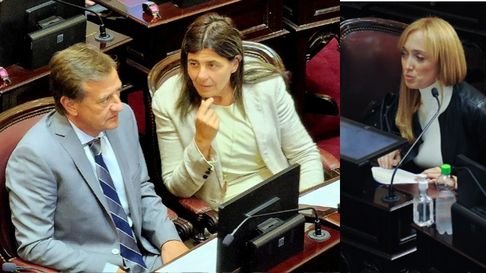 Los senadores mendocinos fueron protagonistas en la sesión de los pliegos de Lijo y García Mansilla. Los senadores mendocinos fueron protagonistas en la sesión de los pliegos de Lijo y García Mansilla.