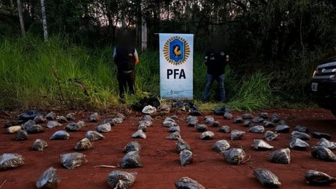 Se secuestró un cargamento de 71 kilos de droga en Misiones. Se secuestró un cargamento de 71 kilos de droga en Misiones.