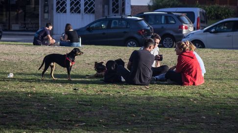 Lunes con temperaturas agradables y sol en la ciudad de La Plata y sus alrededores. Lunes con temperaturas agradables y sol en la ciudad de La Plata y sus alrededores.