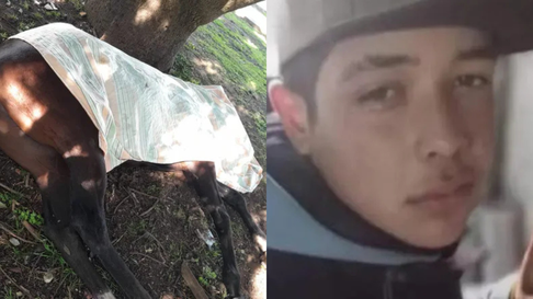 murio el joven que cayo de un caballo en barrio hipodromo murio el joven que cayo de un caballo en barrio hipodromo
