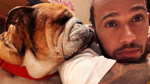 Lewis Hamilton confirmó que Roscoe murió el domingo. Lewis Hamilton confirmó que Roscoe murió el domingo.