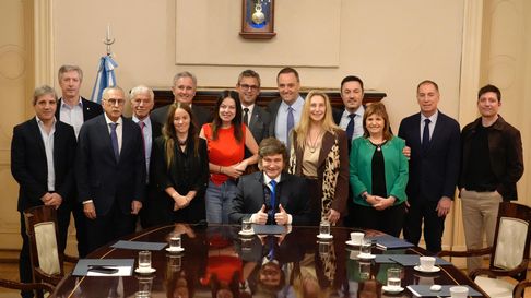 El presidente Javier Milei junto a su nuevo gabinete. El presidente Javier Milei junto a su nuevo gabinete.