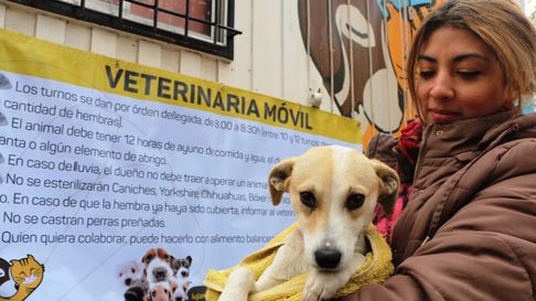 El móvil veterinario de Luján se traslada a Chacras de Coria. El móvil veterinario de Luján se traslada a Chacras de Coria.