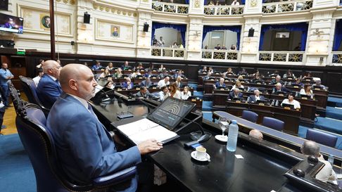 Diputados suspenderá las PASO la próxima semana Diputados suspenderá las PASO la próxima semana