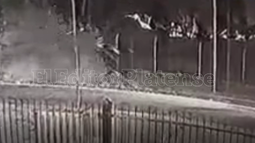 La Plata: Se conocieron las imágenes del choque fatal tras persecución en Lisandro Olmos La Plata: Se conocieron las imágenes del choque fatal tras persecución en Lisandro Olmos