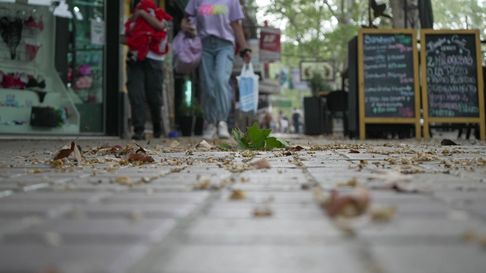 Este sábado el viento Zonda llegaría a Mendoza. Este sábado el viento Zonda llegaría a Mendoza.