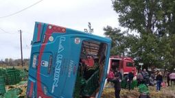 El accidente dejó un saldo de 5 personas fallecidas.