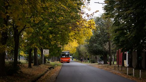 Clima frío y nublado en el sábado de La Plata Clima frío y nublado en el sábado de La Plata