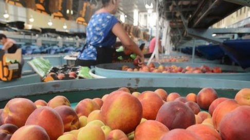El durazno es una fruta importante en la economía alvearense. El durazno es una fruta importante en la economía alvearense.