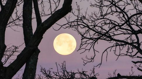 ensenada invita a los vecinos a disfrutar la luna llena ensenada invita a los vecinos a disfrutar la luna llena