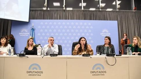 La Cámara de Diputados debate decretos cruciales para la comunidad LGTBQ+ . La Cámara de Diputados debate decretos cruciales para la comunidad LGTBQ+ .