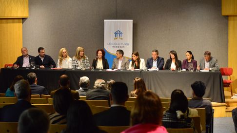 El Senado llevó a cabo la Audiencia Pública para analizar el pliego de Andrea Molina al Tribunal de Cuentas. El Senado llevó a cabo la Audiencia Pública para analizar el pliego de Andrea Molina al Tribunal de Cuentas.