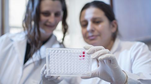 Importante proyecto de la UNLP Importante proyecto de la UNLP