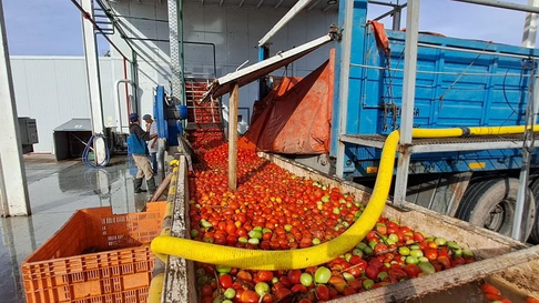 La planta de procesamiento se ubica en Cuadro Nacional. La planta de procesamiento se ubica en Cuadro Nacional.