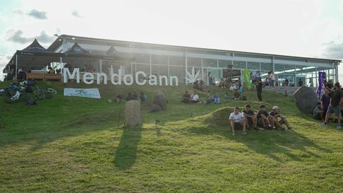 ¿el cannabis es el nuevo vino de mendoza? mendocann reunio productores, cientificos y emprendedores ¿el cannabis es el nuevo vino de mendoza? mendocann reunio productores, cientificos y emprendedores