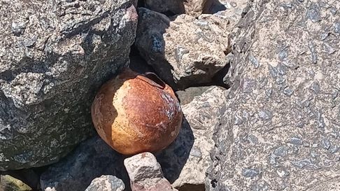 encontraron restos humanos en las orillas del Río de La Plata encontraron restos humanos en las orillas del Río de La Plata