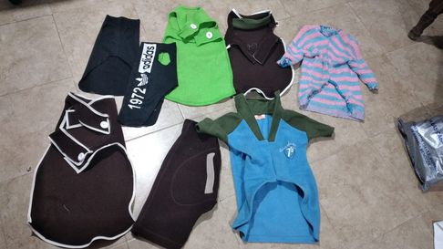 El joven y su mamá crean ponchitos para los animales. El joven y su mamá crean ponchitos para los animales.