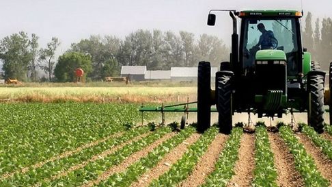 El sector agropecuario se plantó ante el proyecto que ingresó al Senado El sector agropecuario se plantó ante el proyecto que ingresó al Senado