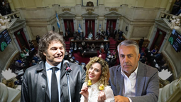 Los referentes de Mendoza en el Congreso no actuaron fuera de lo esperado en la era Milei.