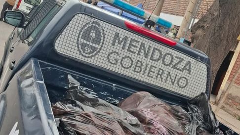 avanza con exito el plan integral contra el abigeato y el comercio ilegal de productos carnicos avanza con exito el plan integral contra el abigeato y el comercio ilegal de productos carnicos