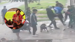 Cuatro detenidos por el ataque en Los Hornos que dejó a un joven amputado Cuatro detenidos por el ataque en Los Hornos que dejó a un joven amputado