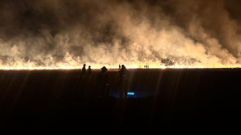 Así fue el impresionante incendio durante la noche en la Autopista La Plata - Buenos Aires a la altura de la Reserva de Punta Lara. Así fue el impresionante incendio durante la noche en la Autopista La Plata - Buenos Aires a la altura de la Reserva de Punta Lara.