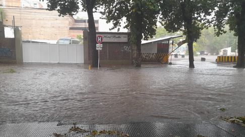 Temporal en Mendoza: calles convertidas en ríos, ramas caídas y actividades suspendidas Temporal en Mendoza: calles convertidas en ríos, ramas caídas y actividades suspendidas