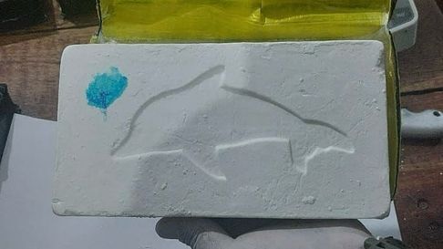 Condenado por transportar cocaína que pertencería a la red del Patrón del Norte. Condenado por transportar cocaína que pertencería a la red del Patrón del Norte.