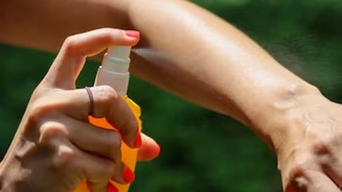 anmat prohibio dos marcas de repelentes y productos de limpieza anmat prohibio dos marcas de repelentes y productos de limpieza