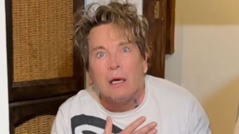 guido süller encontro un nido de ratas en su casa: la vida misma guido süller encontro un nido de ratas en su casa: la vida misma