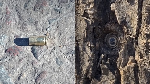 una discusion vecinal termino con tiros al aire en la plata una discusion vecinal termino con tiros al aire en la plata