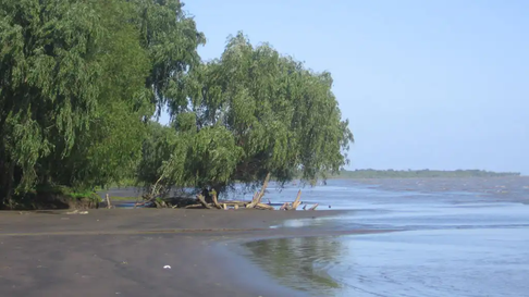 tragedia en la isla paulino: un hombre de 47 anos murio ahogado tragedia en la isla paulino: un hombre de 47 anos murio ahogado