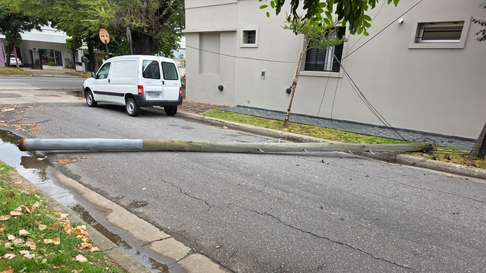 otra vez edelap: un poste se cayo y provoco un corte de luz en ringuelet otra vez edelap: un poste se cayo y provoco un corte de luz en ringuelet