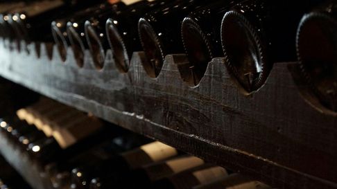 El vino argentino es potencia en el mundo. El vino argentino es potencia en el mundo.