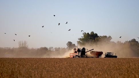 La quita temporaria de retenciones impulsó la liquidación de USD 7.000 millones La quita temporaria de retenciones impulsó la liquidación de USD 7.000 millones