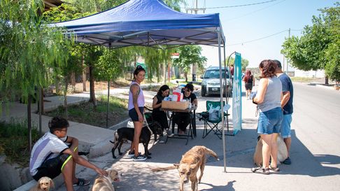 En barrios de la Ciudad de Mendoza habrá Vacunas y desparasitación gratuitas. En barrios de la Ciudad de Mendoza habrá Vacunas y desparasitación gratuitas.