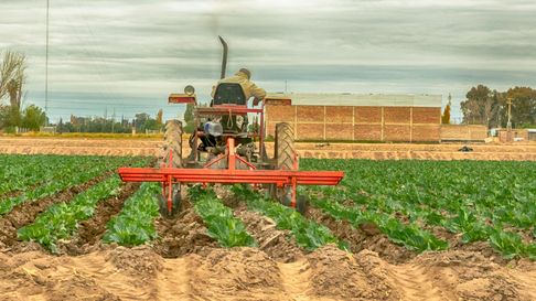 Maipú sale a la recolección de envases de residuos peligrosos para transformarlos en materia prima. Maipú sale a la recolección de envases de residuos peligrosos para transformarlos en materia prima.