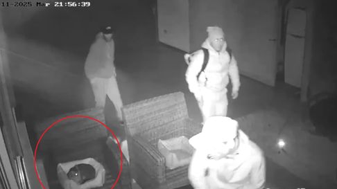 Inseguridad sin freno. Los ladrones ingresan a una casa ante la mirada de un gatito Inseguridad sin freno. Los ladrones ingresan a una casa ante la mirada de un gatito