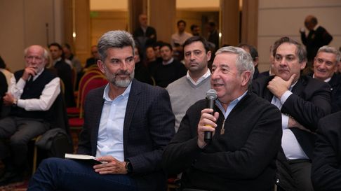 Los mendocinos Ulpiano Suarez y Julio Cobos cuestionaron el veto de Milei. Los mendocinos Ulpiano Suarez y Julio Cobos cuestionaron el veto de Milei.