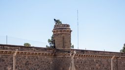 Un juez suspendió el retiro de los celulares de dos cárceles tras la presentación de un habeas corpus